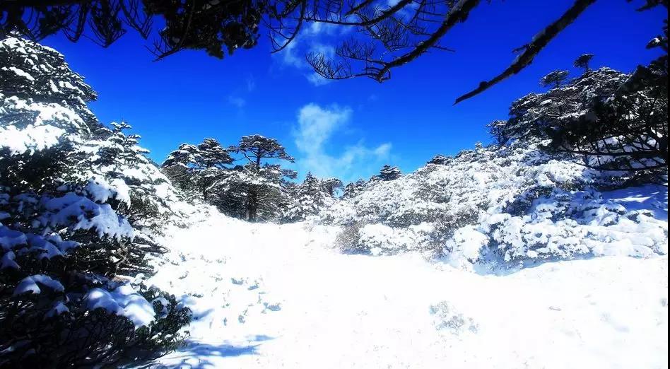 當蒼山雪遇見洱海藍，人民網都忍不住打call     大理傳媒公司